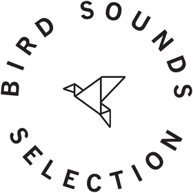 bird — sounds